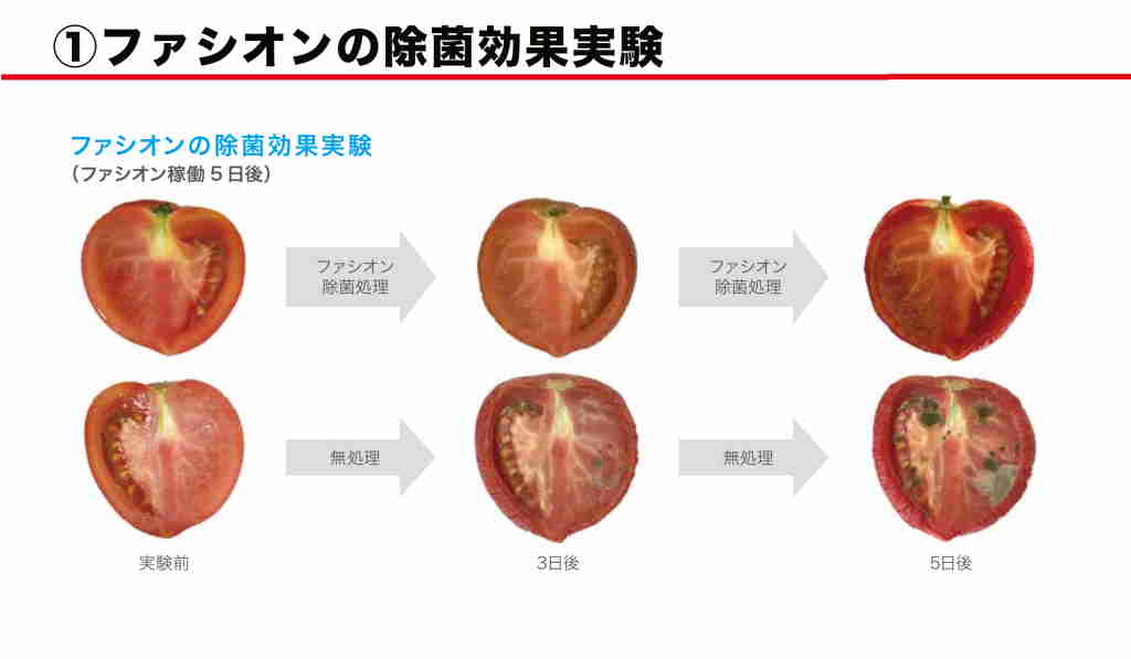 トマトの除菌実験（イオンクラスター稼働5日後）